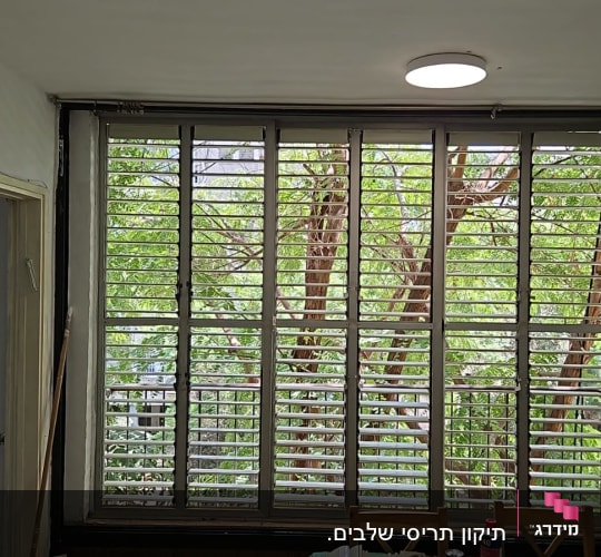 תריסים בחלון עם נוף עצים ירוקים בחוץ